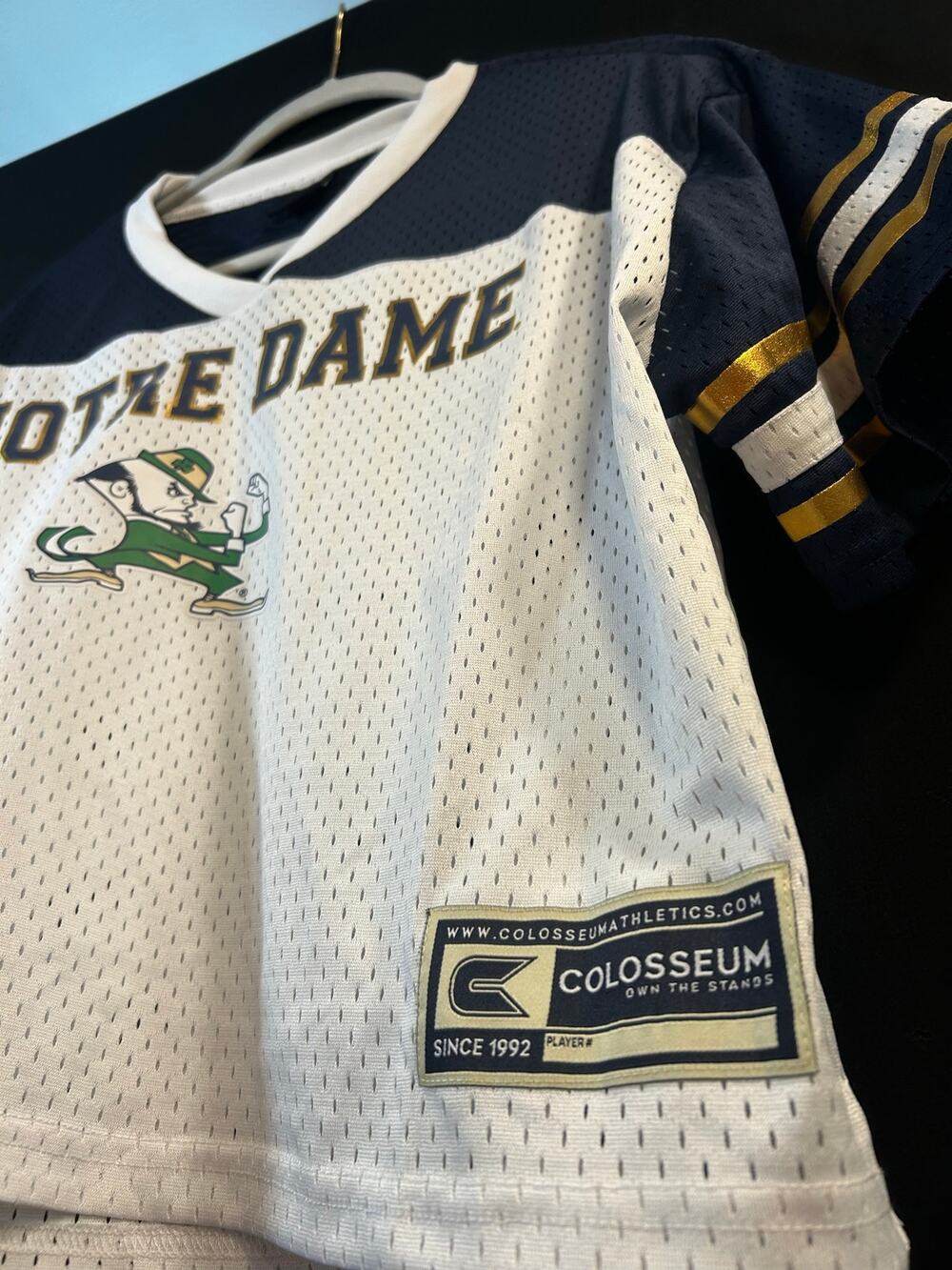 Notre Dame Colosseum Treasure Cropped Football Jersey, Women’s L